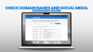 Check Domain Names and Social Media Usernames Online