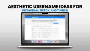 Aesthetic Username Ideas for Instagram, TikTok, and Tumblr