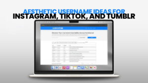 Aesthetic Username Ideas for Instagram, TikTok, and Tumblr